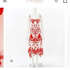 Scanlan Theodore Silk Dress, Size 4